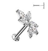 Conch Piercing Schmuck aus Chirurgenstahl