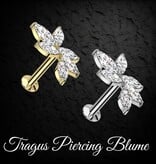Conch Piercing Schmuck aus Chirurgenstahl