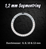 1,2 mm Segmentring mit Kristall-Zirkonia –  Clicker  6–12 mm