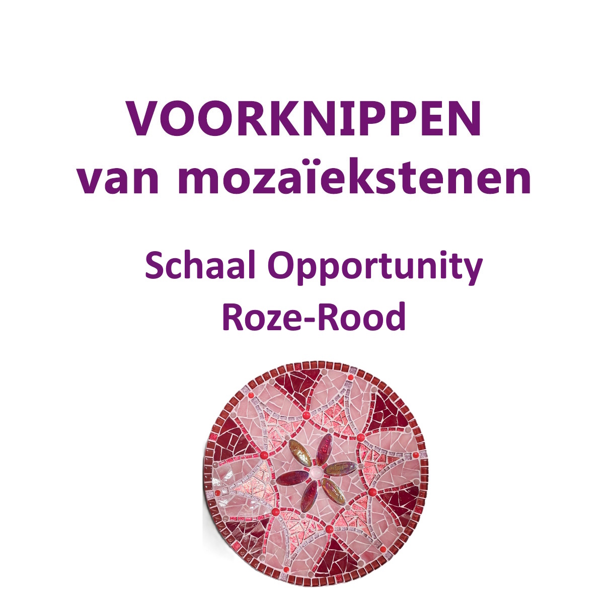 VOORKNIPPEN schaal Opportunity Roze-Rood