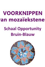 VOORKNIPPEN schaal Opportunity Bruin-Blauw