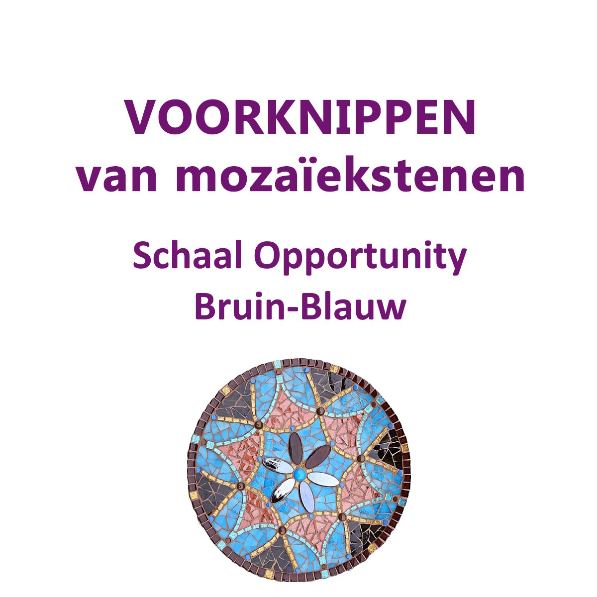 VOORKNIPPEN schaal Opportunity Bruin-Blauw