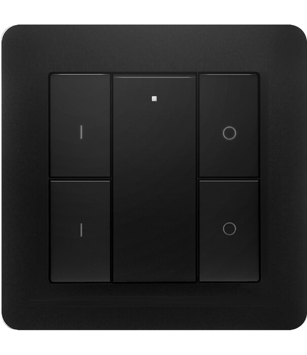 ED-10013 Funkschalter Zigbee 2 Gruppen schwarz