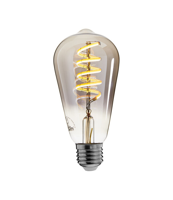 ED-10033 Zigbee led filament lamp dimbaar E27, edison ST64, Smokey 2000K-4000K