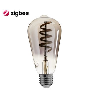 ED-10033 Ampoule à filament LED Zigbee dimmable E27, edison ST64, Smokey 2000K-4000K