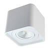 ED-10038 Luminaire apparent blanc carré