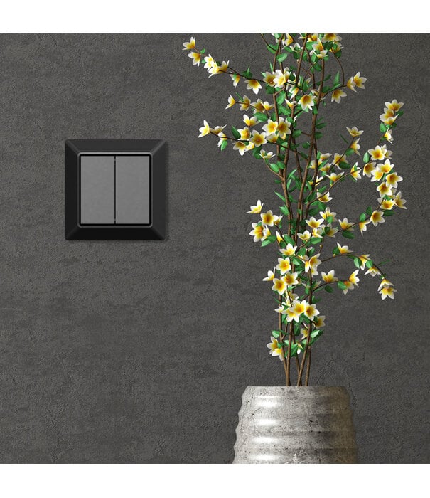 ED-10043 Draadloze schakelaar Zigbee zwart