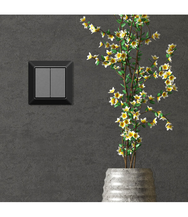 ED-10043 Funkschalter Zigbee schwarz