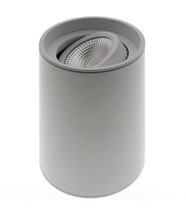 ED-10064 Surface-mounted luminaire round white