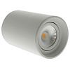 ED-10064 Surface-mounted luminaire round white