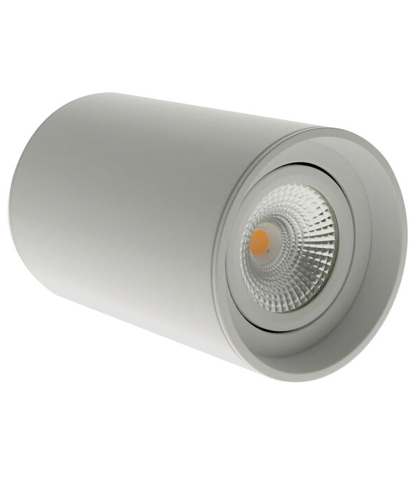 ED-10064 Surface-mounted luminaire round white