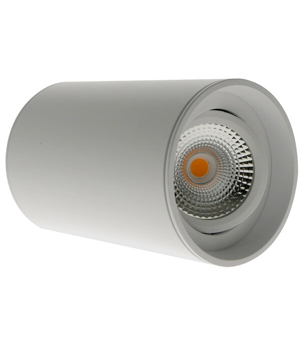 ED-10064 Surface-mounted luminaire round white