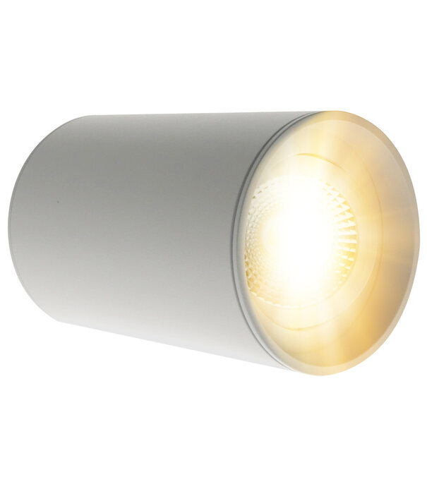 ED-10064 Luminaire apparent blanc rond