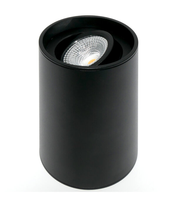 ED-10065 Surface-mounted luminaire round black