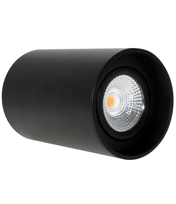 ED-10065 Surface-mounted luminaire round black