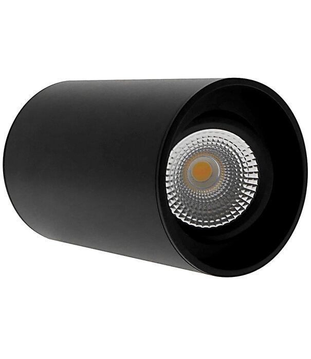 ED-10065 Surface-mounted luminaire round black