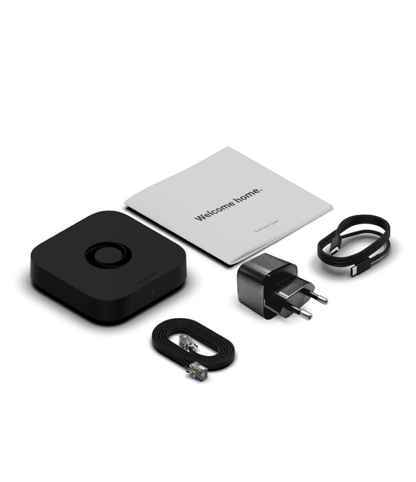 Homey Pro mini