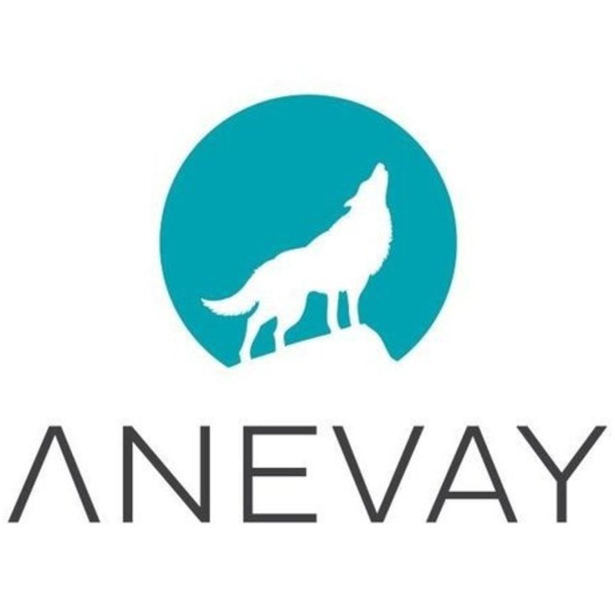 Anevay Onderdelen