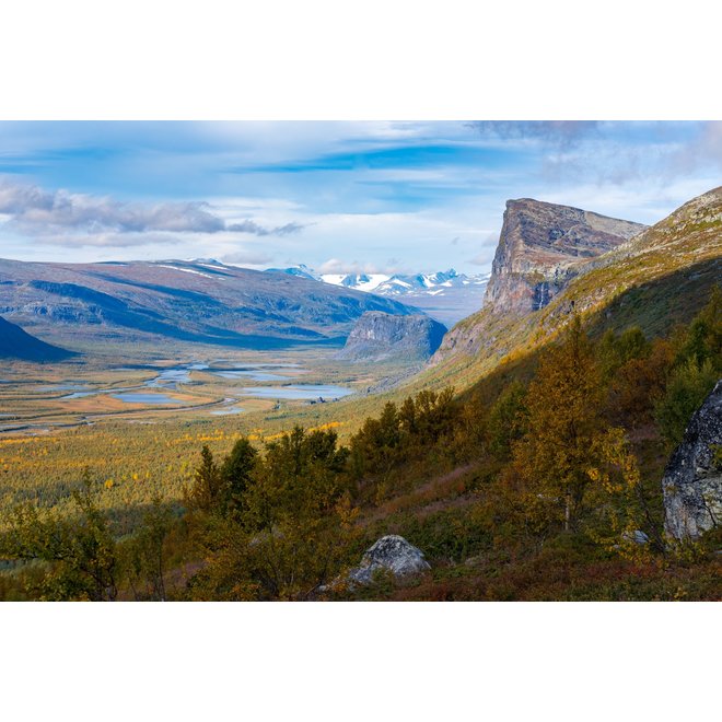 Wilderness Experience Sweden 2024 - Wildernis écht beleven!