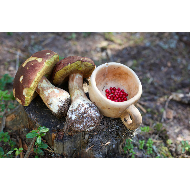 Advanced Bushcraft Cursus - Zweden