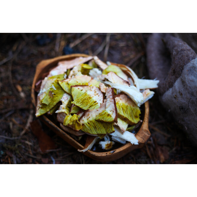 Advanced Bushcraft Cursus - Zweden