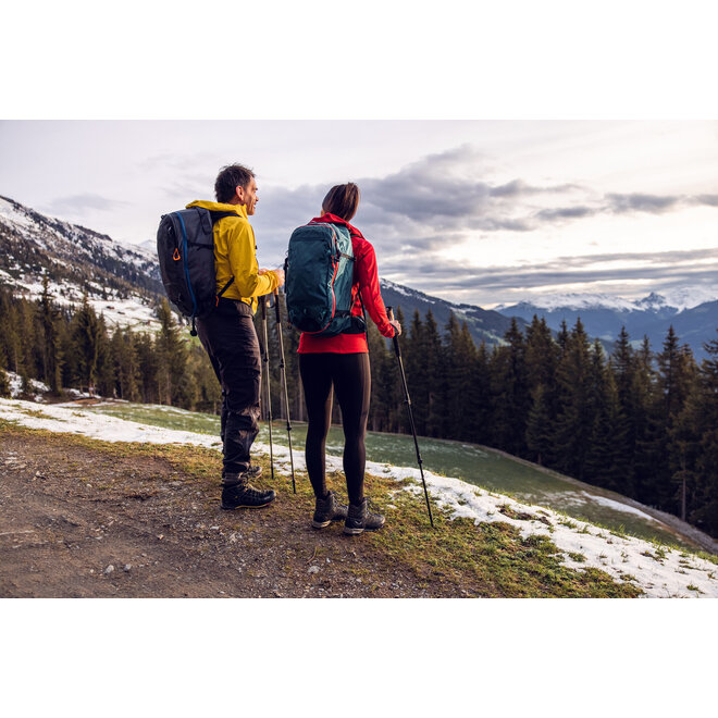 Trekking poles carbon