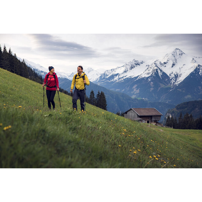 Trekking poles carbon