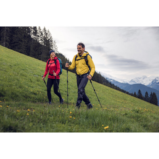 Trekking poles carbon