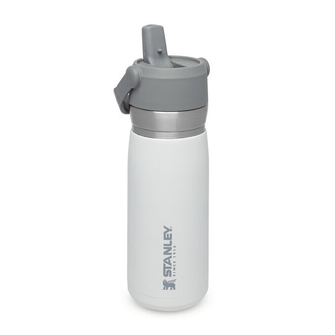 The IceFlow™ Flip Straw Water Bottle  0.65L - Polar