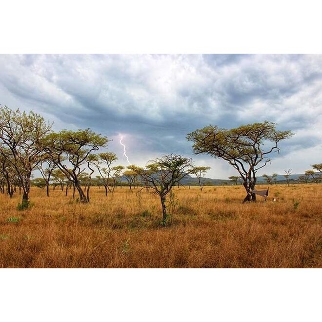 Tarp 3x3 – Coyote Brown