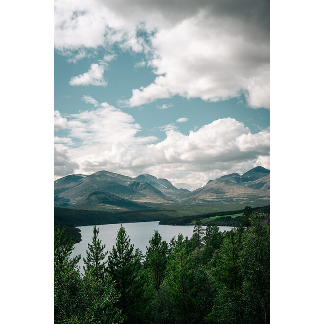 Compass Terra Ranger S