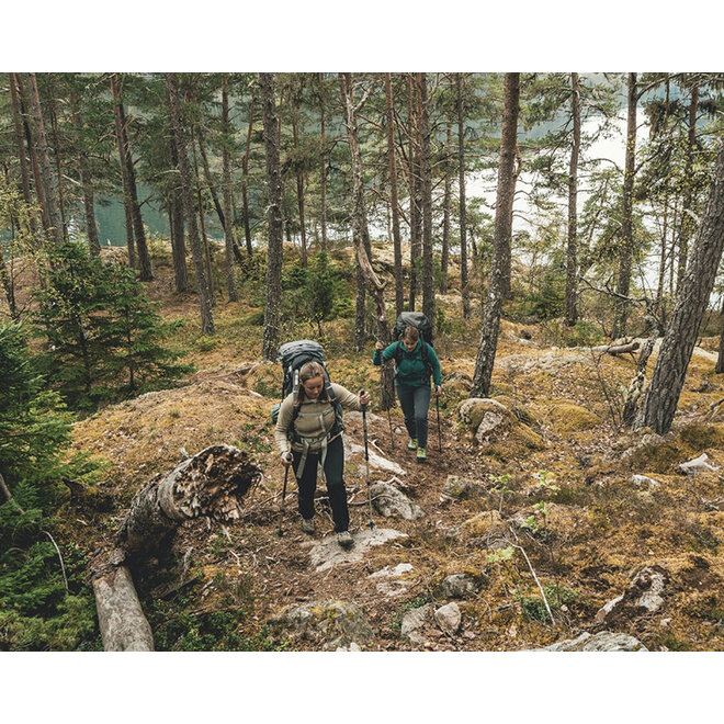 Trekking Poles Ambleside C66 - 2 pcs