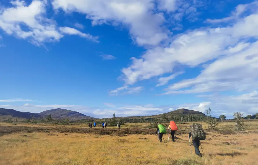 Wilderness Experience Sweden 2024