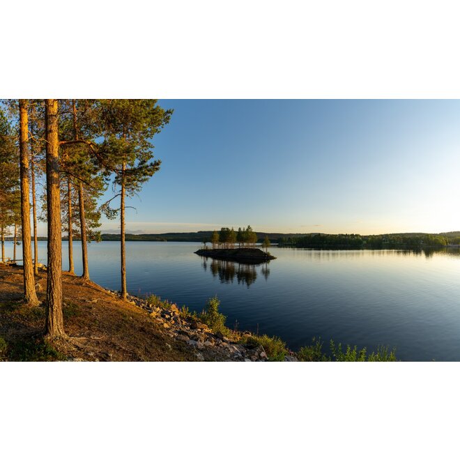 Wilderness Experience XL - Sweden 2025 - Wildernis écht beleven!