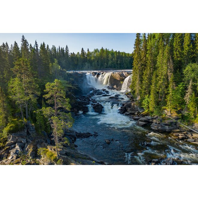 Wilderness Experience XL - Sweden 2025 - Wildernis écht beleven!