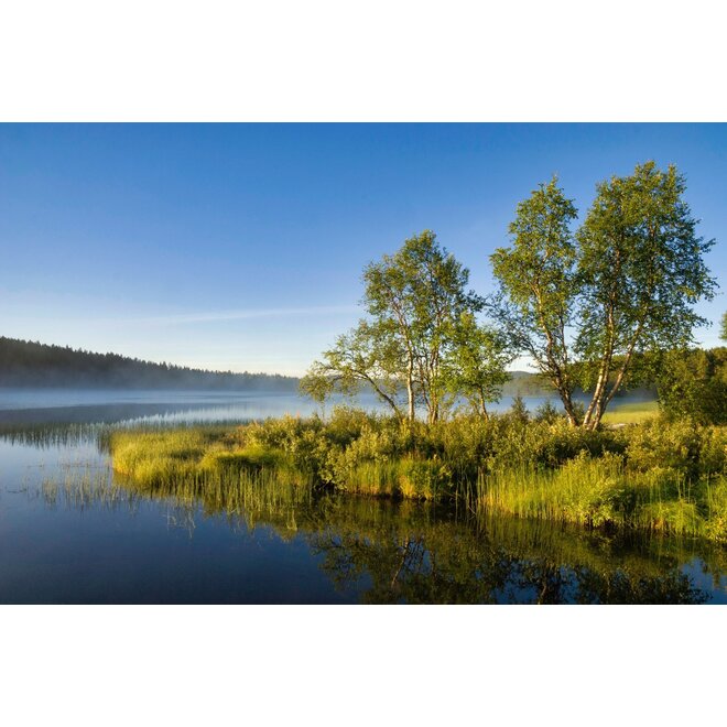 Wilderness Experience XL - Sweden 2025 - Wildernis écht beleven!