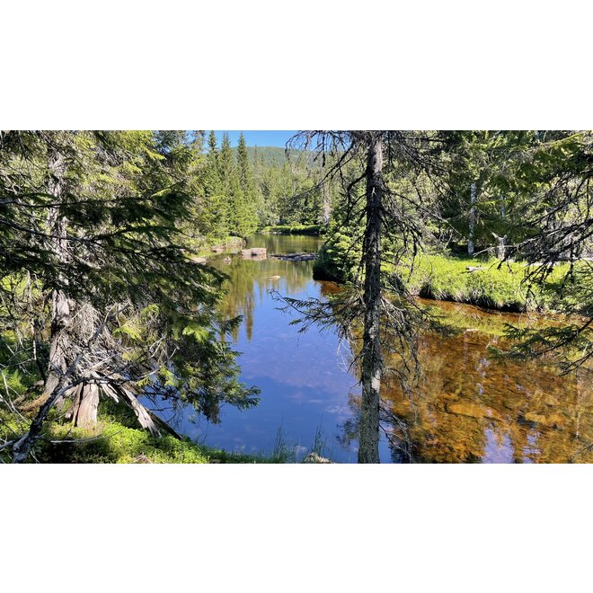 Miriam Lancewood Wilderness Expedition 2025 - Sweden