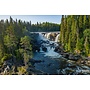 Wilderness Experience XL - Sweden 2027