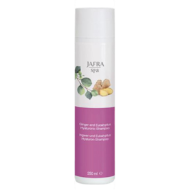 Jafra Cosmetics Ingwer & Eucalyptus Shampoo 250 ml