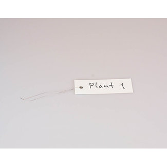 Plantenlabel (16st)