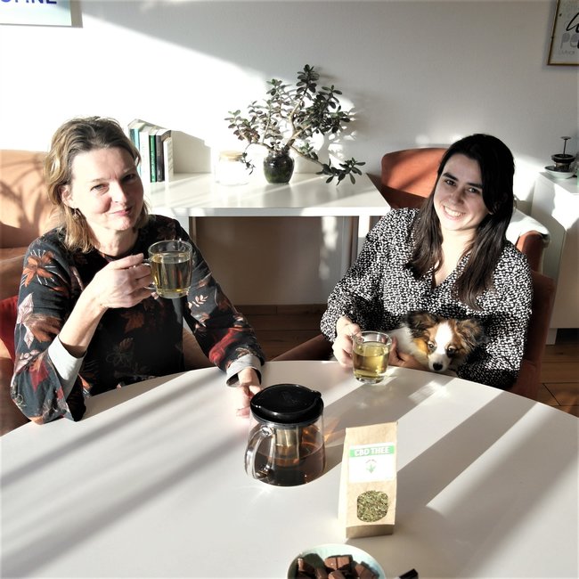 Wernards CBD Hennepthee (100 gr)