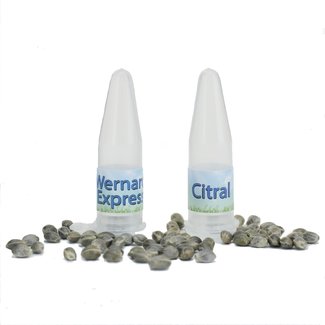 Citral & Wernard Express pakket