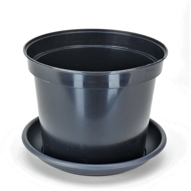 Grote Plantenpot+Schotel 1 stuks