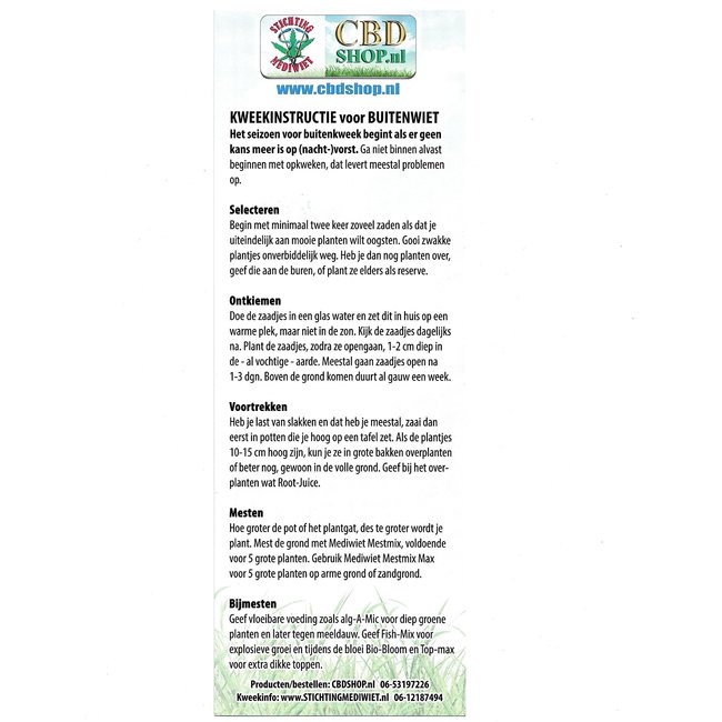 Wernards CBD-zaden (2st) ♀