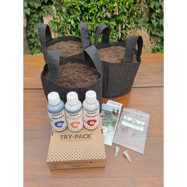 Kweekset 3 +  2 gratis zaadjes