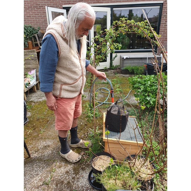 Kweekset 2 +  2 gratis zaadje