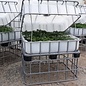 IBC Frühbeet und Hochbeet 250 Liter mit Deckel auf 93 cm Höhe verzinkter Stahl-Palette