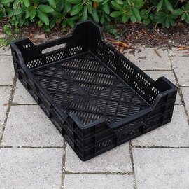 Gitterkiste Plastik / Kunststoff gebraucht, sortiert