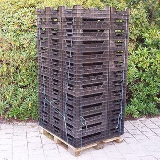 Gitter- Kisten Plastik / Kunststoff gebraucht, 75 Stück, sortiert, ca 60 x 40 x 17 inkl. Holzpalette 100 x 120 #SK4-75