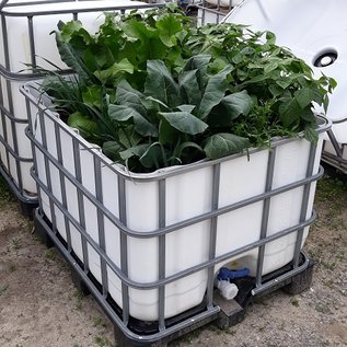 Hochbeet weiss 87 cm hoch 800 l IBC für Tiefwurzler auf Kunststoff-Palette #65HB-VP87-REGEN-USER